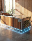 A modern plunge tub with a wood-paneled front, stainless steel top and trim, and integrated blue LED under-glow lighting, shown in a rustic indoor-outdoor space with brick and wood walls.
